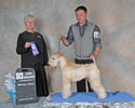11/22/14 - Elsie Murray Canine Centre Society (Surrey BC Canada) - Lynda Saranchuk