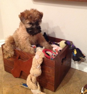 Natasha ... I know it's in here!