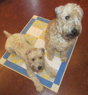 Tully quilt photo