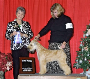 Boris_BOW 12-8-13