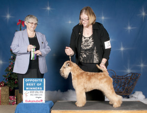 Hazel_6mth_BOW_sm