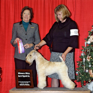 Lira_BOW_BOS 12-7-13