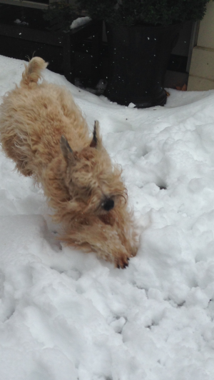 Kier - Snow 2-13-14