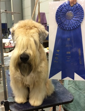 Bree Group 1 Win 8-15-14