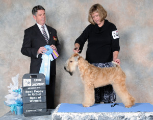 Surge Best Puppy 11-21-14