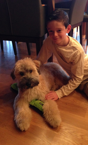 Murphy & Elliott
