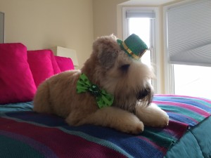 St. Patrick's Quincy