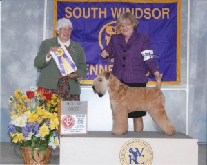 Josie - Best of Breed / Judge Edna Martin - SWindsor MA - 4/18/15 (2 pts) 