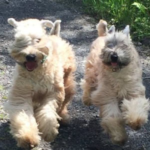 Brody & Posey ~ 5/10/2015