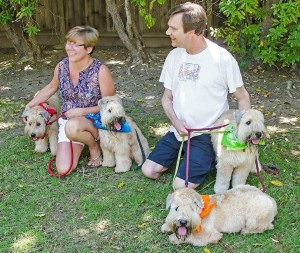 Euro X Logan puppies on 1st Birthday ...