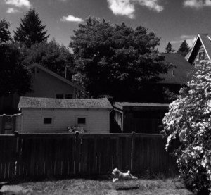 Sally 6-15-15