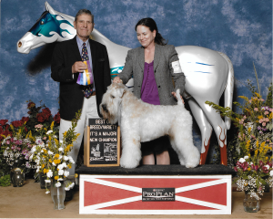 08282015_Briggs_ChampionPhoto_Lexington_300