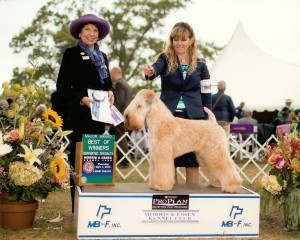 Beau's Morris Essex Win0001