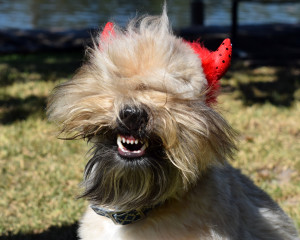 Fanny Halloween
