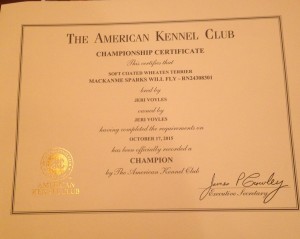 Championship Certificate