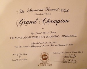 Gch Cert