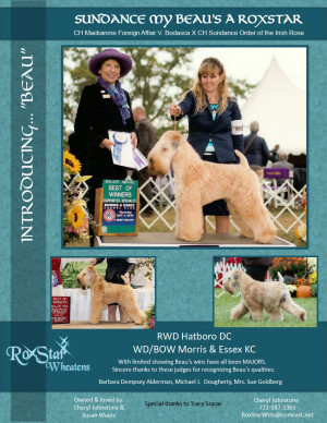 benchmarks-ad-Dec-2015-Cheryl-Johnstone