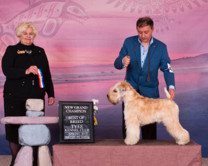 Aida Gch