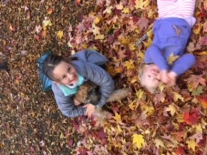 fall