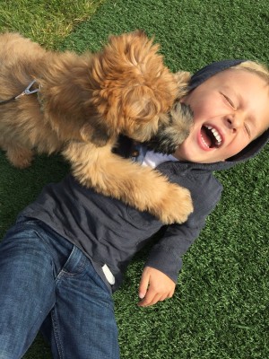 Elliott & Murphy