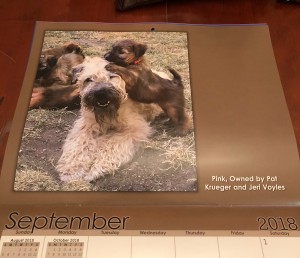 Pink Calendar