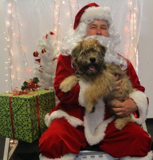 Missy Christmas 2017