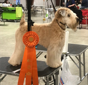 Grace Winners April 2018