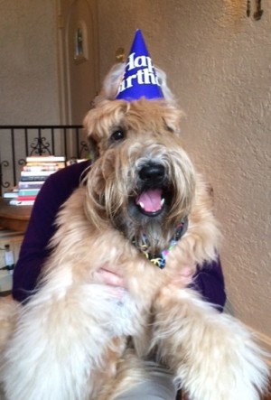 Tater 2 year birthday2