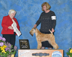 Bling_Group4_Olympia 5-6-18