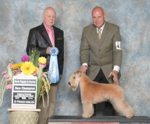 Grace New Champion May 2018