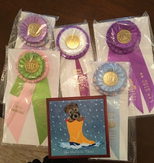 Ribbons - April 2018