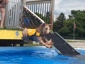 IMG_4328