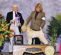 1/23/10 - 5pt - Dog Fanciers Assoc of Oregon (Portland OR) - Walter Goodman