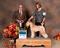 10/9/2016 - 3 pts - BC All Terrier (Chilliwack BC) - Edd Bivin