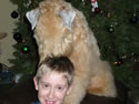 Maccus & Will