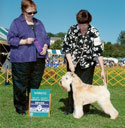 Paddy ~ WD Devon DSA 10/09/10
