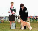 Paddy - BOS Sweeps - SCWTCSC Specialty 6/27/10