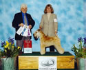 4/13/06 - 5pt - Northern California Terrier Assoc (Sacramento CA) - Fred Ferris
