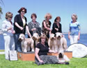 6/26/10 - SCWTCA Nat'l Roving Specialty  (Long Beach KC) - Peggy Meisel McIlwaine