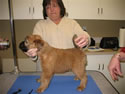 Seamus - Week 7
