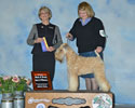 2/29/16 - 3pt major - McKenzie Cascade KC (Albany OR) - (Betty-Anne Stenmark)