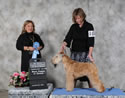 02/20/2015 - Mt Cheam Canine Assoc (Chilliwack BC Canada) - Vania Haga