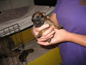 Teddy - Week 1