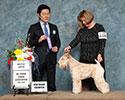 2/25/2018 - Mt Cheam Canine Assoc (Chilliwack BC) - Andy Gong