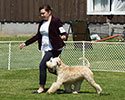 5/26/2017 - Ugo w/Laurel - Vancouver Island DFA (Saanichton BC)